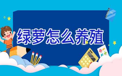 绿萝怎么养殖插图