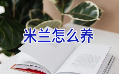 米兰怎么养插图 米兰怎么养插图