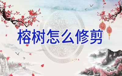 榕树怎么修剪插图