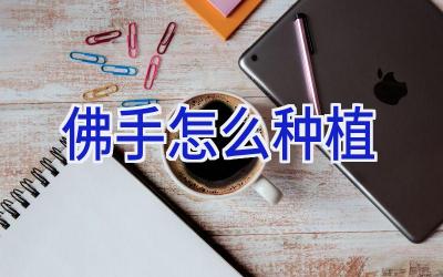 佛手怎么种植插图 佛手怎么种植插图