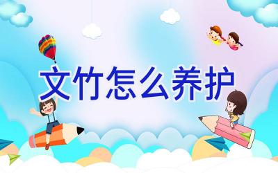 文竹怎么养护插图