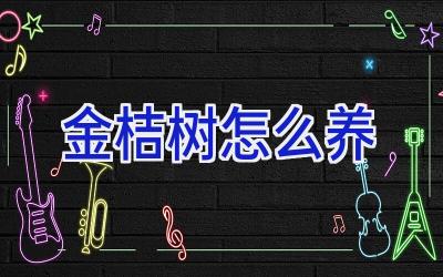 金桔树怎么养插图 金桔树怎么养插图