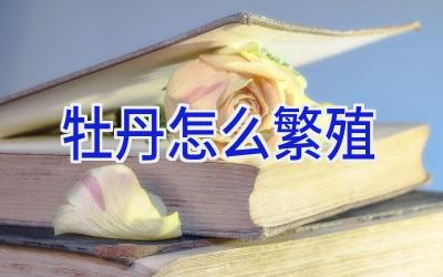 牡丹怎么繁殖插图 牡丹怎么繁殖插图