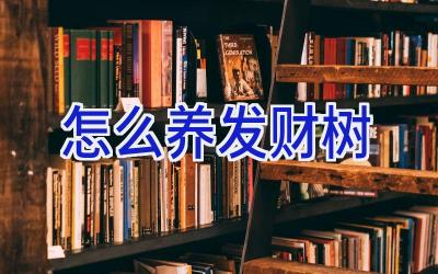 怎么养发财树插图