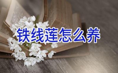 铁线莲怎么养插图