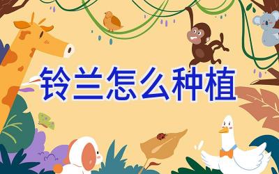 铃兰怎么种植插图 铃兰怎么种植插图