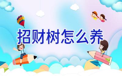 招财树怎么养插图 招财树怎么养插图