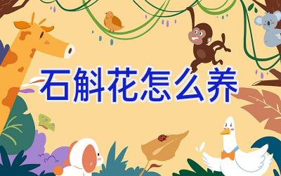 石斛花怎么养插图 石斛花怎么养插图