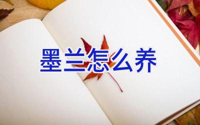 墨兰怎么养插图