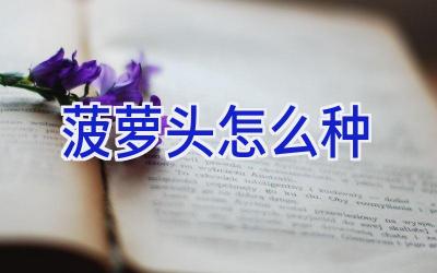 菠萝头怎么种插图 菠萝头怎么种插图