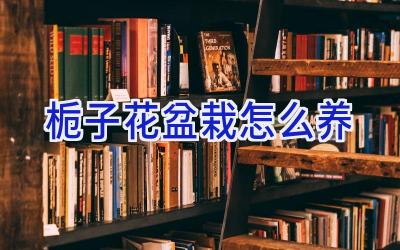 栀子花盆栽怎么养插图 栀子花盆栽怎么养插图
