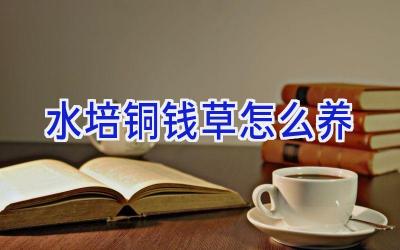 水培铜钱草怎么养插图