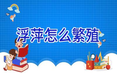 浮萍怎么繁殖插图