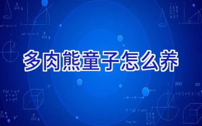 多肉熊童子怎么养插图