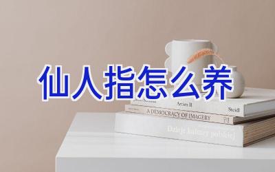 仙人指怎么养插图