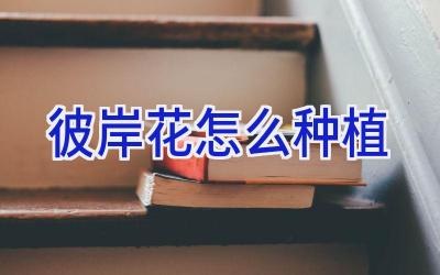 彼岸花怎么种植插图