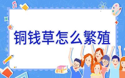 铜钱草怎么繁殖插图