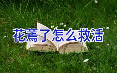 花蔫了怎么救活插图