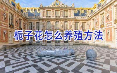 栀子花怎么养殖方法插图 栀子花怎么养殖方法插图