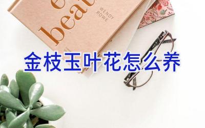 金枝玉叶花怎么养插图