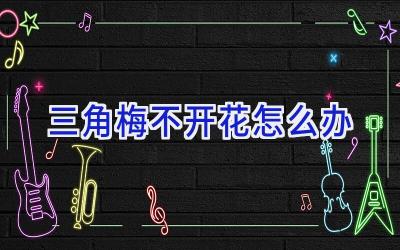 三角梅不开花怎么办插图