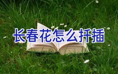 长春花怎么扦插插图 长春花怎么扦插插图