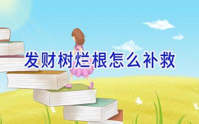 发财树烂根怎么补救插图 发财树烂根怎么补救插图