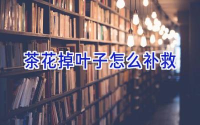 茶花掉叶子怎么补救插图