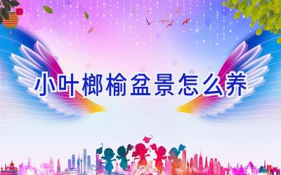 小叶榔榆盆景怎么养插图 小叶榔榆盆景怎么养插图