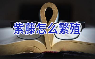 紫藤怎么繁殖插图 紫藤怎么繁殖插图