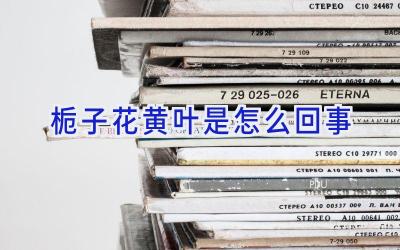 栀子花黄叶是怎么回事插图