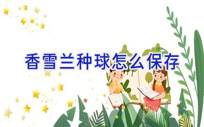香雪兰种球怎么保存插图 香雪兰种球怎么保存插图