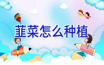 韮菜怎么种植插图 韮菜怎么种植插图