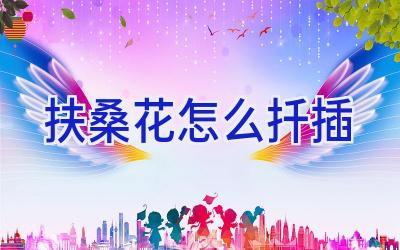 扶桑花怎么扦插插图