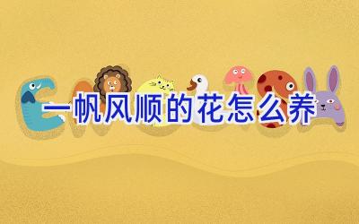 一帆风顺的花怎么养插图 一帆风顺的花怎么养插图