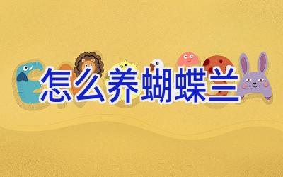 怎么养蝴蝶兰插图 怎么养蝴蝶兰插图