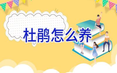 杜鹃怎么养插图