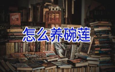 怎么养碗莲插图 怎么养碗莲插图