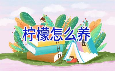 柠檬怎么养插图 柠檬怎么养插图