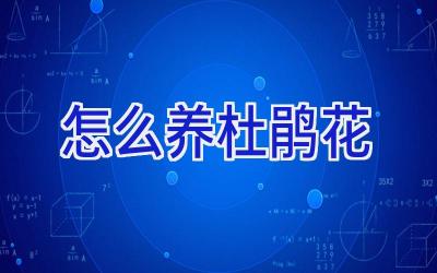 怎么养杜鹃花插图 怎么养杜鹃花插图