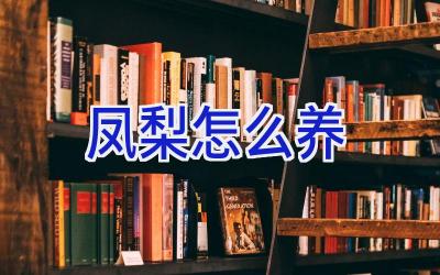 凤梨怎么养插图