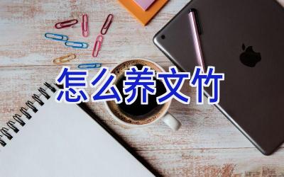 怎么养文竹插图