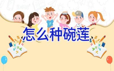 怎么种碗莲插图