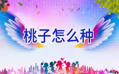 桃子怎么种插图 桃子怎么种插图