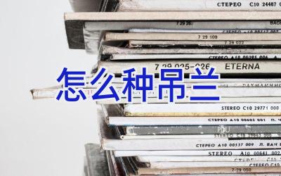 怎么种吊兰插图 怎么种吊兰插图