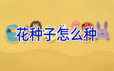 花种子怎么种插图 花种子怎么种插图