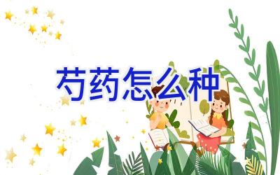 芍药怎么种插图