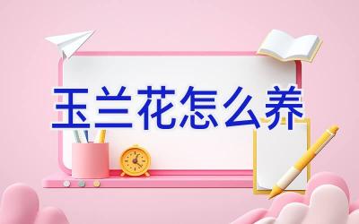 玉兰花怎么养插图