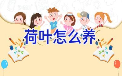 荷叶怎么养插图