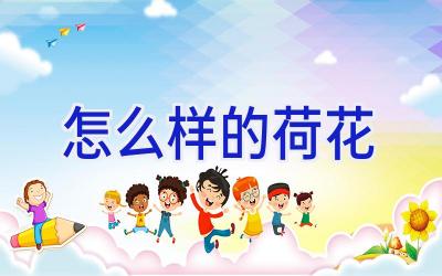 怎么样的荷花插图 怎么样的荷花插图